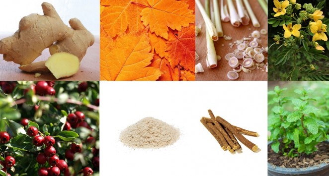 Night Cleanse Tea Ingredients Skinny Mint TeaTox lady goldapple