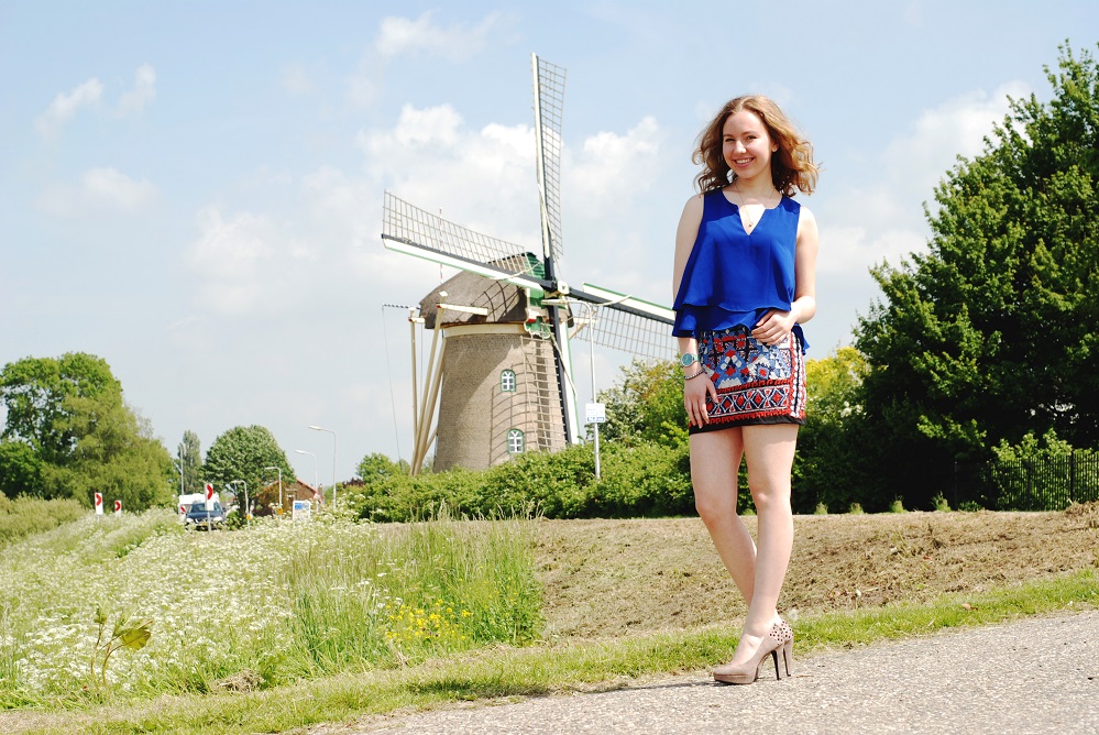 Delfts blue skirt .